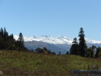 Photo Gallery Picture