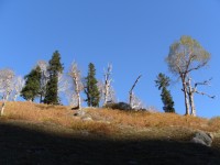 Photo Gallery Picture